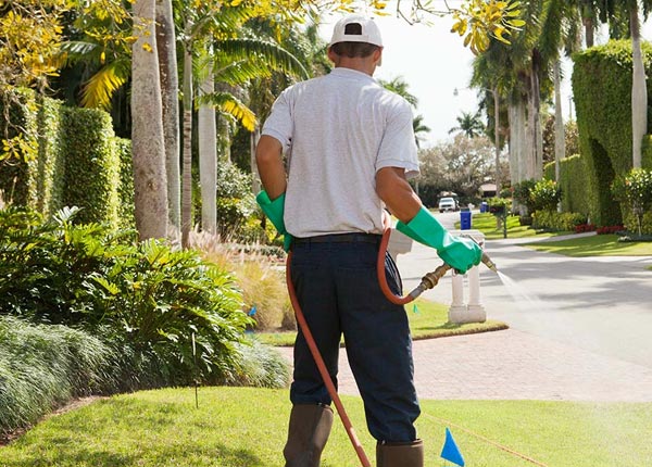 About Neenah WI Pest Control Pros